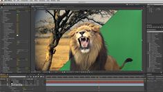 Adobe After Effects Example