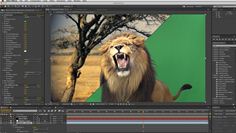 Adobe After Effects Example Adobe After Effects Example