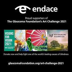 Endace sponsors art challenge Endace sponsors art challenge