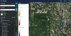 Screen shot of Rezatec’s Geospatial Portal, the online delivery mechanism and visualisation tool. This specific example shows Forest Species Mapping data and land parcel boundaries displayed within the portal.