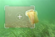 Fraunhofer IGD is developing underwater image enhancement methods based on artificial intelligence. (© Fraunhofer IGD) Fraunhofer IGD is developing underwater image enhancement methods based on artificial intelligence. (© Fraunhofer IGD)