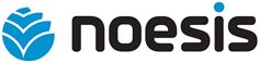 Noesis logo Noesis logo