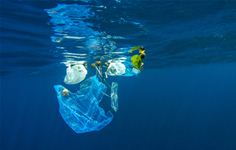 Plastic Pollution Plastic Pollution
