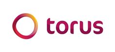 Torus logo Torus logo