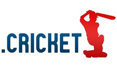 Cricket logo 