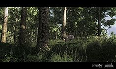 Mule Deer Mule Deer