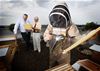 Rooftop Apiary in Dublin City 1