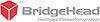 BridgeHead Software Logo