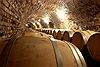 Wine in its earliest stage of life
