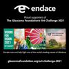 Endace sponsors art challenge