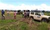 Born Free 4x4