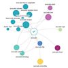 Image 1: Searchmetrics Content Experience: Topic Explorer / Example: Avocado