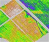 NDVI image