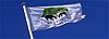 New Forest National Park Flag