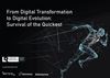 From Digital Transformation to Digital Evolution: Survival of the Quickest