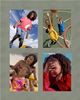 Pic Flick HD print sample