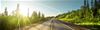 A road with woods on either side