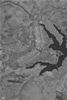 SAR image
