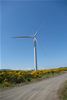 Westfield Wind Farm