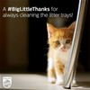 #BigLittleThanks 02